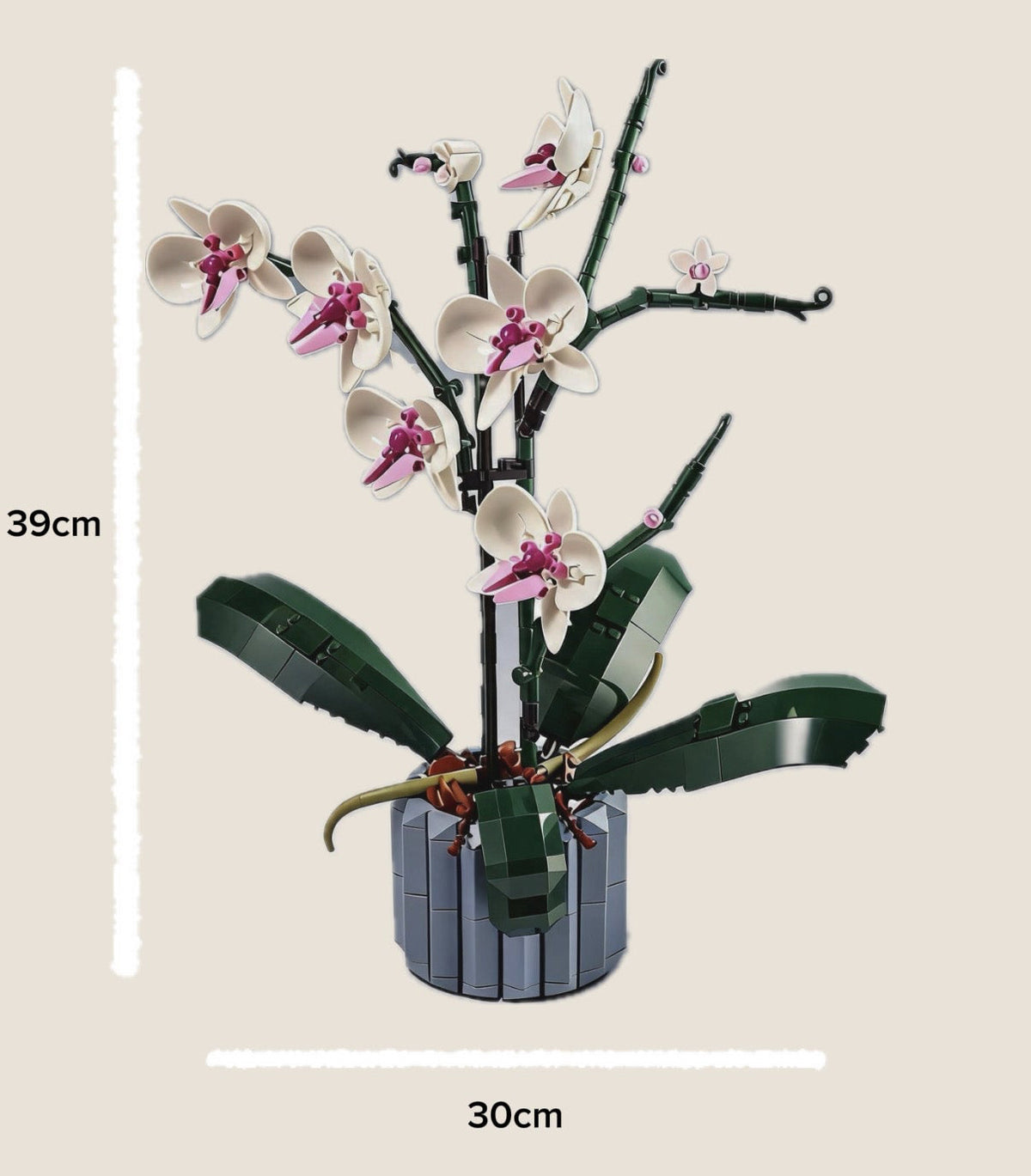 Las flores que no se marchitan